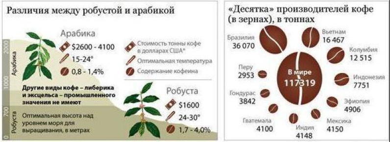 ����� ������� ����: ���� � ������������