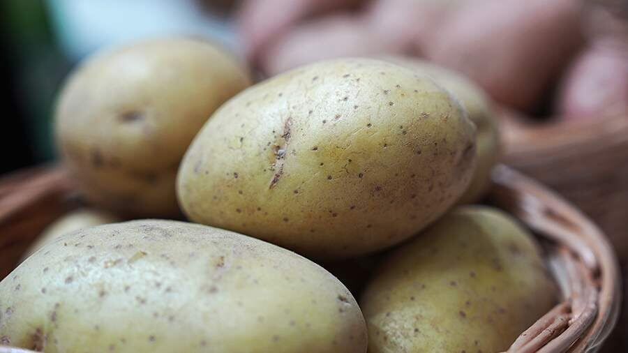 � ������� �������� ���������� ������� ��������� ��-�� ���������� ������