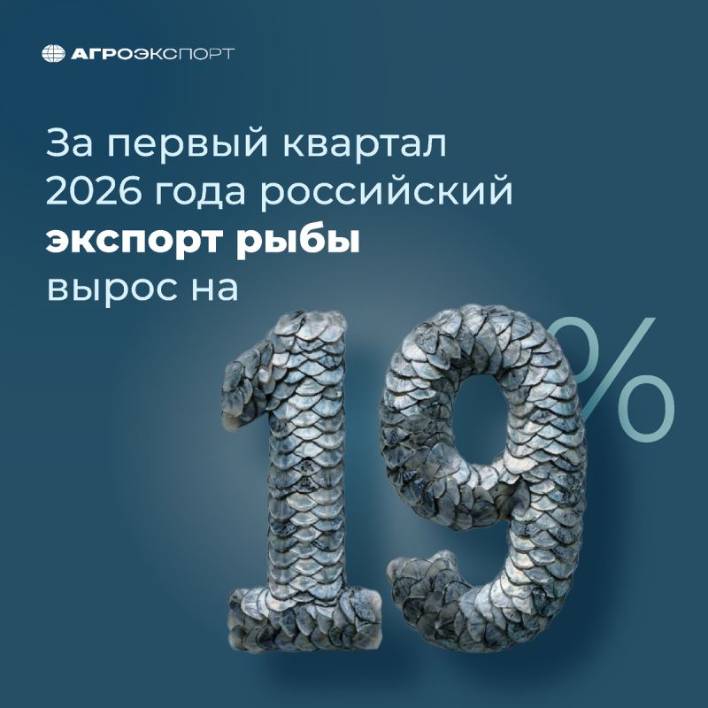 Экспорт рыбы из России в 2026 году установил новый рекорд