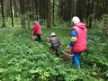Как отличить городских грибников от сельских: секреты опытного знатока